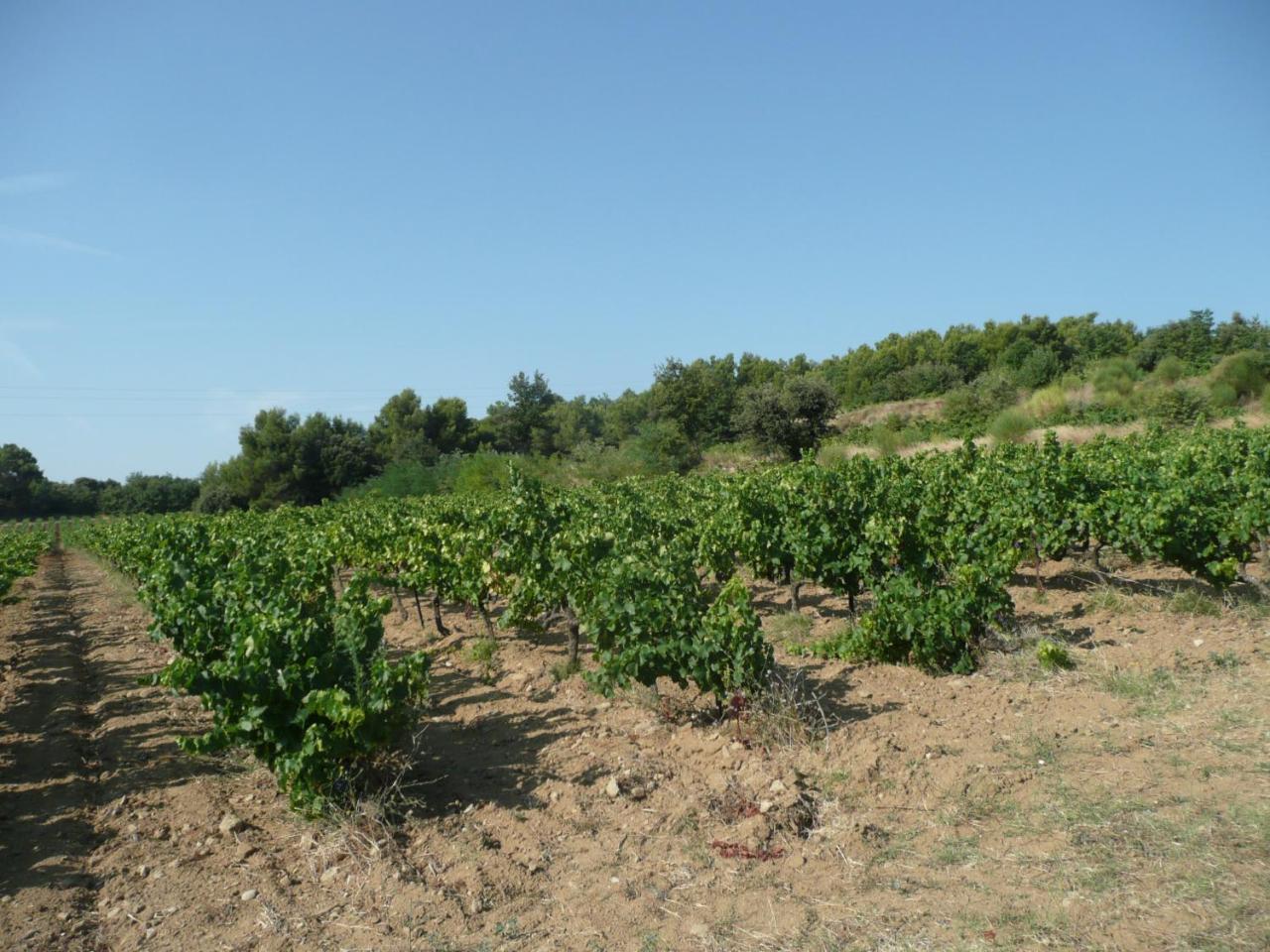 Gite Du Serre De Boudre Climatise, Spa Permanent Buisson Exterior foto